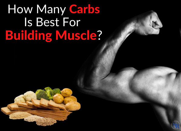 How Many Carbs Is Best For Building Muscle?