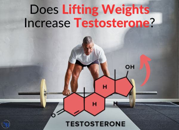 Does Lifting Weights Increase Testosterone?