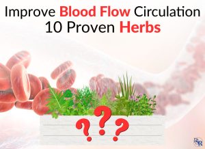 Improve Blood Flow Circulation - 10 Proven Herbs