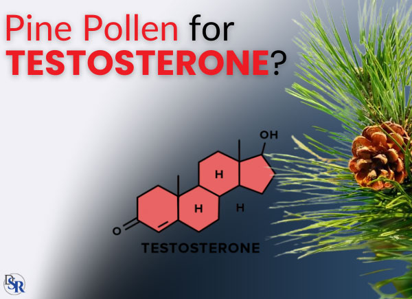 Pine Pollen for Testosterone in 2024: Boost Your Levels!